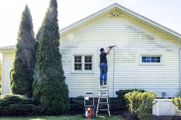 Best House Exterior Washing  in Wading River, NY